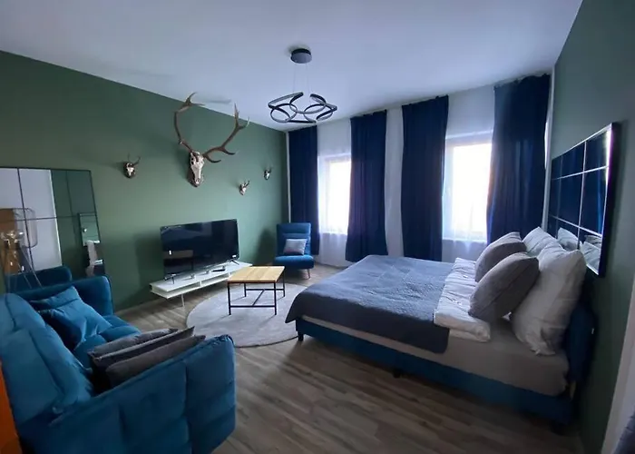 3 Zimmer Apartment Mitten In Altstadt - Koblenz